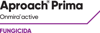 logo_aproach